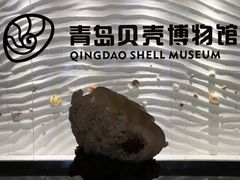 -青岛贝壳博物馆