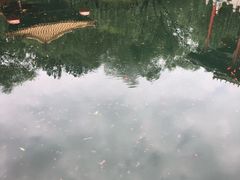 -崔义清鲁菜馆(大明湖店)