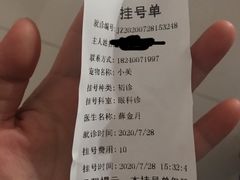 -派美特宠物医院·核磁CT·骨科肿瘤·疑难转诊(沈农禾丰店)