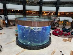 -OPEN開全日自助餐厅·牛肉火锅·海鲜(佛山希尔顿酒店)