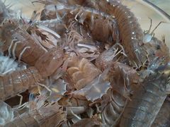 -渔傅·蓝海岸霞浦海鲜(正祥店)