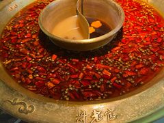 -新哥老官·畅吃123·美蛙世界(苏宁广场店)