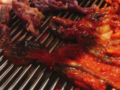 护心肉-喜来稀肉(虹泉路店)