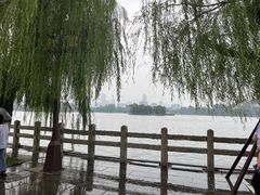 -济南大明湖景区