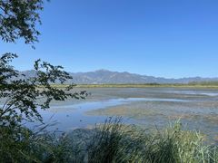 -野鸭湖国家湿地公园