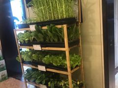 -后宫私房菜(汇客美食娱乐广场店)