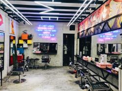 -SALON V