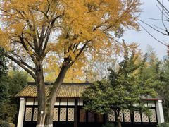 -望江楼公园