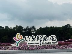 -上海鲜花港