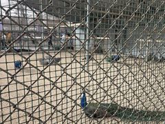 -保定市动物园
