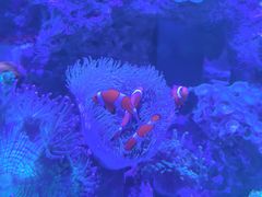 -上和臻品中国菜(花园街店)