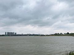 -九龙湖公园