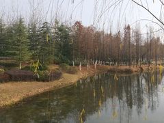-暨阳湖生态园