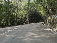 -火炉山森林公园