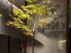 -王府茶楼茶宴·创意菜(朝阳公园店)