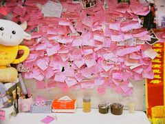 -雨霖祥和炖肉(南市店)