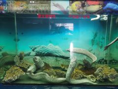 -泉州海丝野生动物世界