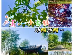 -张家湾公园