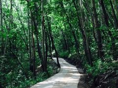 -白草畔自然风景区