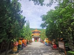 -龙口南山旅游景区