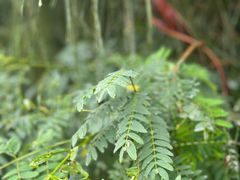 -长江澳风力发电景观区