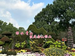 -南山植物园