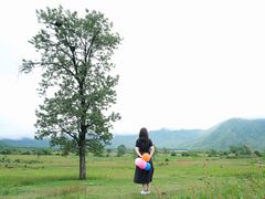 -石棉县孟获城