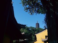 -焦山风景区