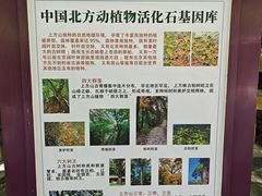 -北京上方山国家森林公园