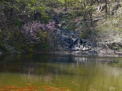 -大伊山景区
