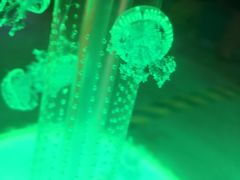 水母-重庆科技馆