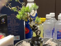 -忆江南·临江鱼馆