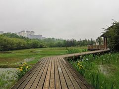 -贵阳市花溪国家城市湿地公园