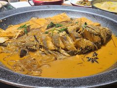 得莫利炖鱼-金掌勺东北菜(格兰晴天店)
