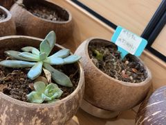 -五月甜品(中山公园店)