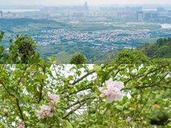 -九龙潭景区