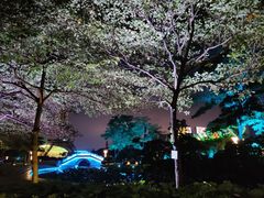 -文华公园(禅城区)