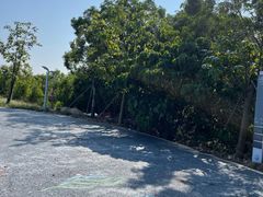 -西涌国际滨海旅游区