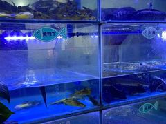 -忘情水鱼头·鲜鱼火锅(滨江中路店)