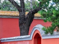 -北京市劳动人民文化宫