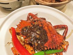 -星怡会·新加坡新美食(苏州中心店)