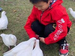 -董永七仙女文化园