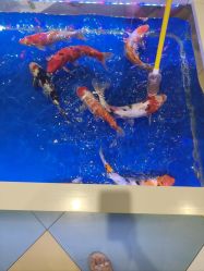 -meland亲子乐园•派对•研学(苏州悠方购物中心店)