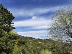 -北京西山国家森林公园