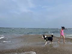 -日照灯塔风景区