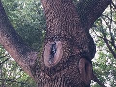 -昆山城市生态森林公园