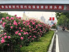 -林海公园