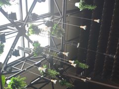 -酸喜·三度酸·贵州味