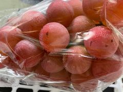 -马陆小张葡萄园农家乐