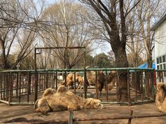 -祥源·阜阳生态乐园